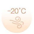 -20