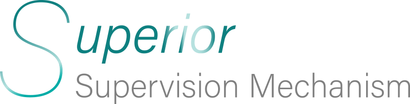 Superior Supervision Mechanism