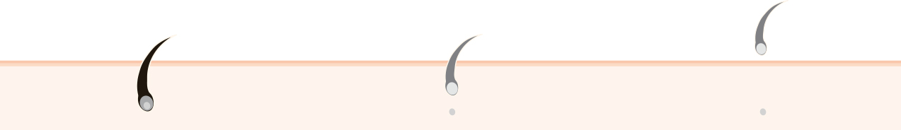 hair_skin